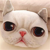 Cartoon Cat Decorative Pillow